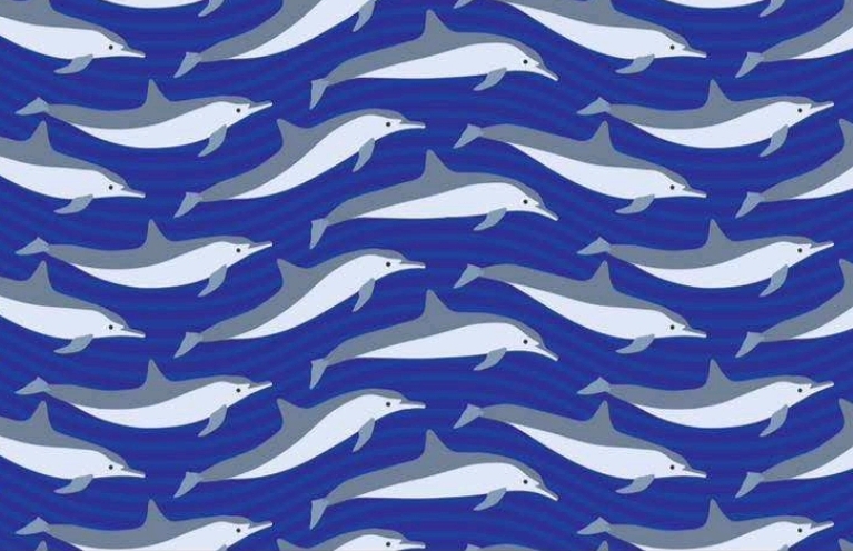 Logo for Dolphin Dynasty